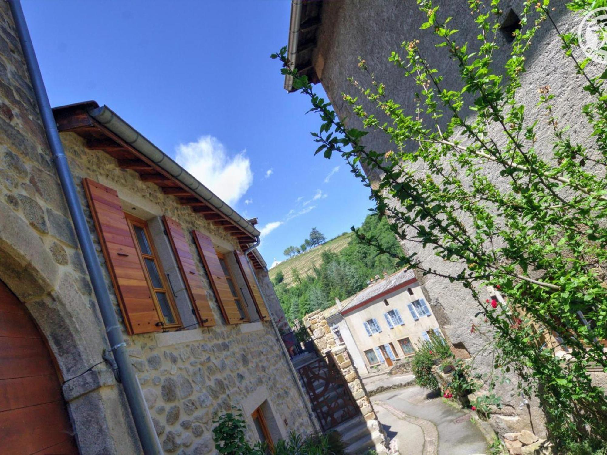 Gite De Charme Avec 2 Terrasses, Au Coeur Du Parc Du Pilat, Confortable Et Equipe - Fr-1-496-40 Malleval 外观 照片