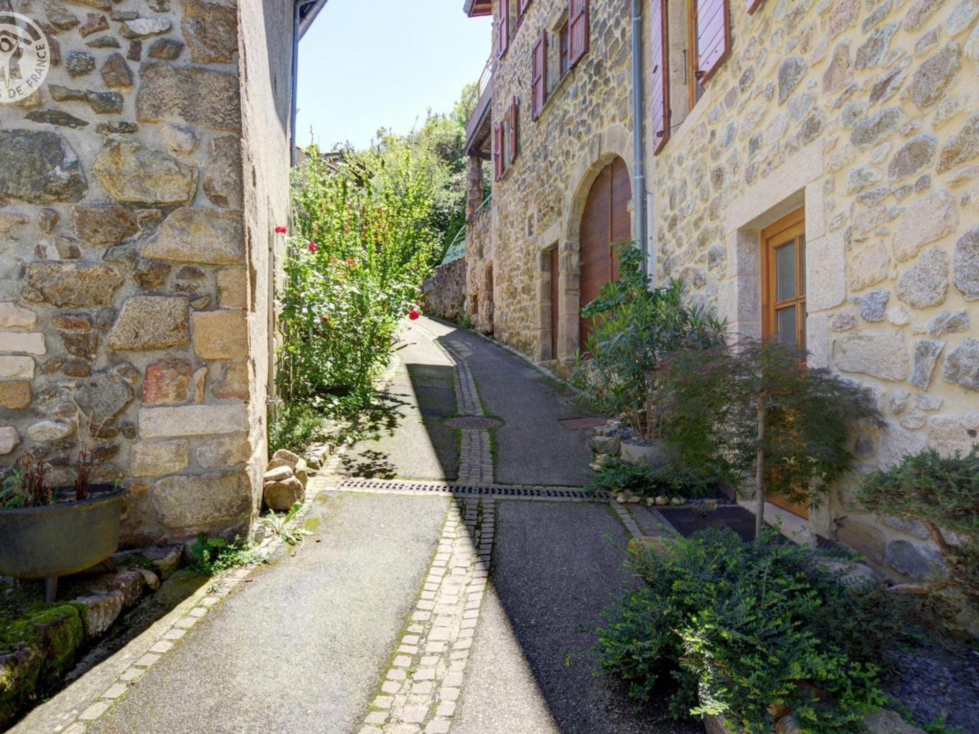 Gite De Charme Avec 2 Terrasses, Au Coeur Du Parc Du Pilat, Confortable Et Equipe - Fr-1-496-40 Malleval 外观 照片